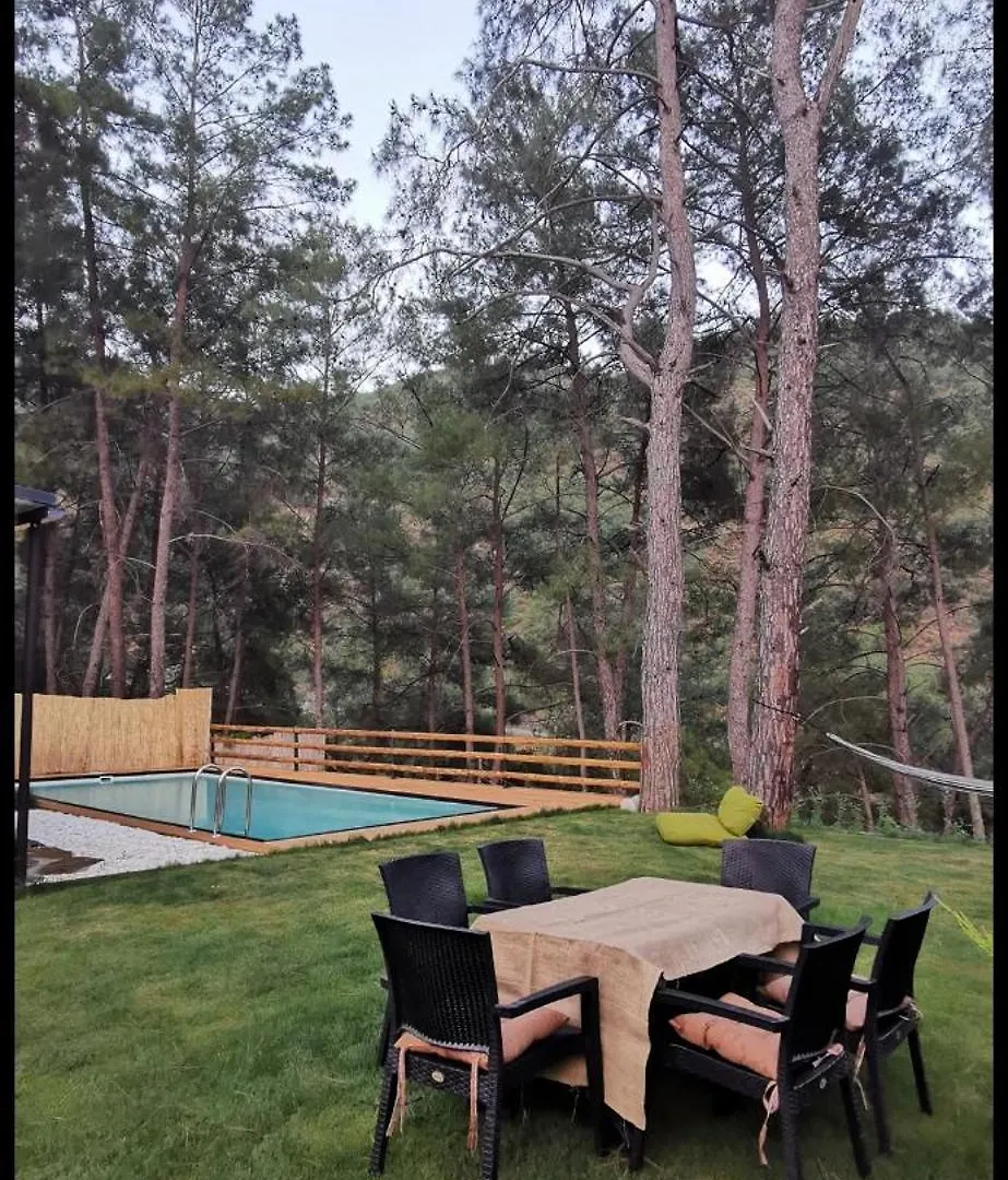 Villa Misa Fethiye Vila